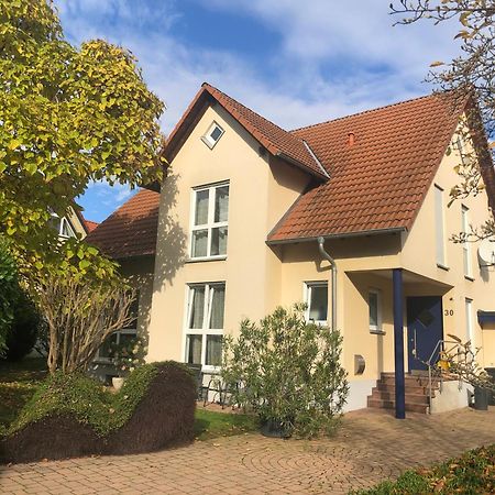Ferienwohnung Suedpfalz Mit Fernblick Bochingen Экстерьер фото
