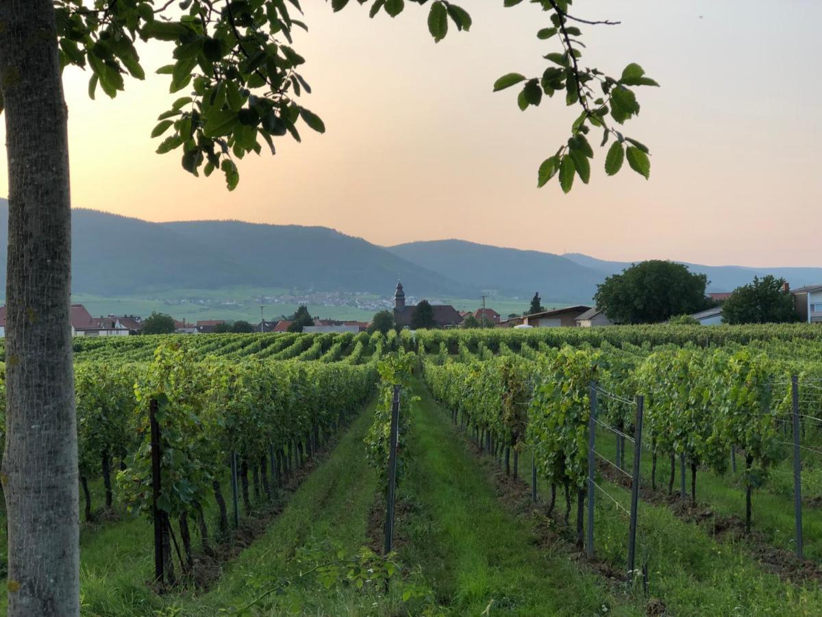 Ferienwohnung Suedpfalz Mit Fernblick Bochingen Экстерьер фото