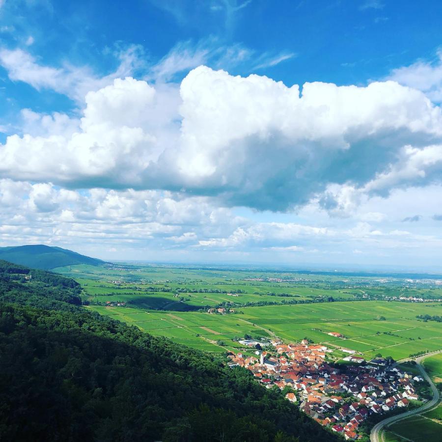 Ferienwohnung Suedpfalz Mit Fernblick Bochingen Экстерьер фото