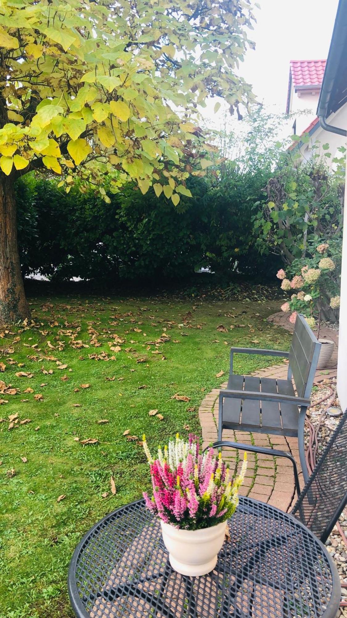 Ferienwohnung Suedpfalz Mit Fernblick Bochingen Экстерьер фото